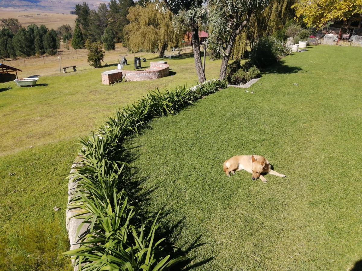 Hotel The Fat Mulberry Guest Farm Fouriesburg Exterior foto