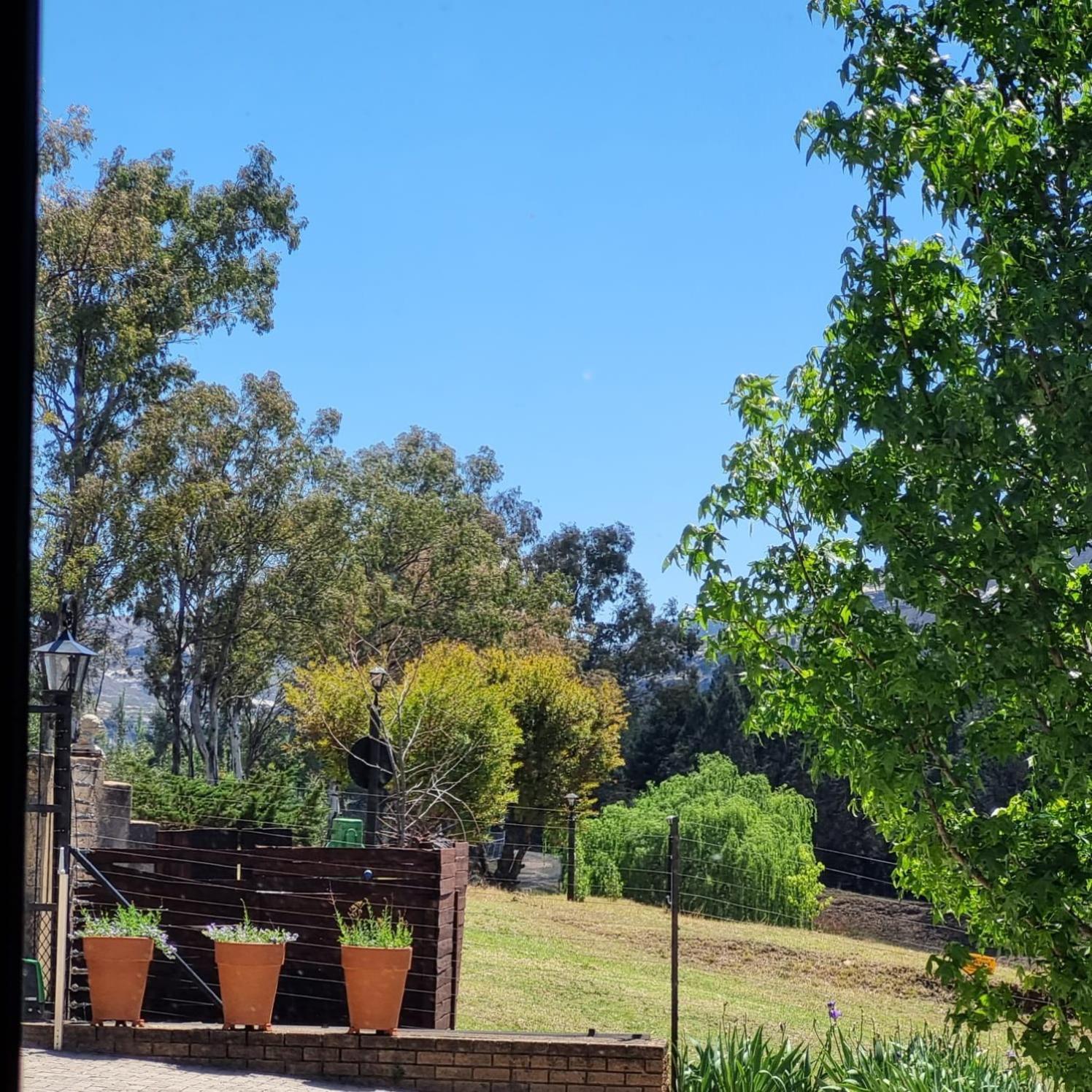 Hotel The Fat Mulberry Guest Farm Fouriesburg Exterior foto